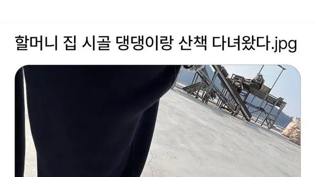 [스압] 할머니집 시골 강아지랑 산책가기.jpg,,