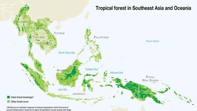 세상 모든 자원이 다 있는 동남아, 왜 가난을 벗어나지 못하는가