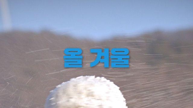 기안84, 대관령에 ‘기안장 2호점’ 오픈…숙박객 공개 모집