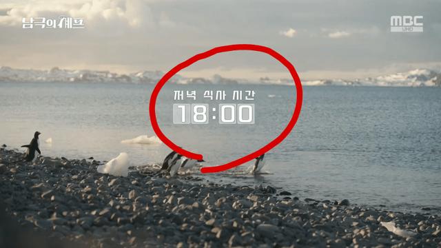 백종원  치킨난반 시간대 조작 의혹