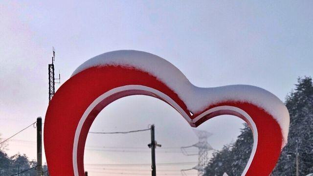 태백시, 인플루언서와 손잡고 겨울 관광  홍보