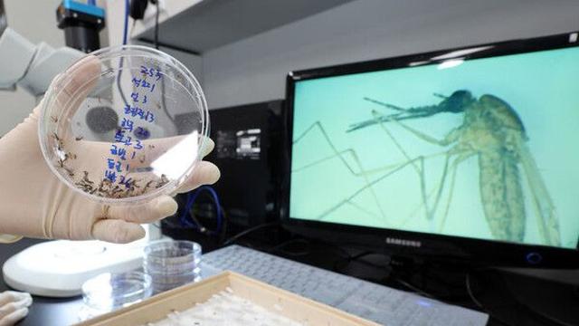 작년 말라리아 환자 94% 수도권 거주…2년 전보다 79% 증가