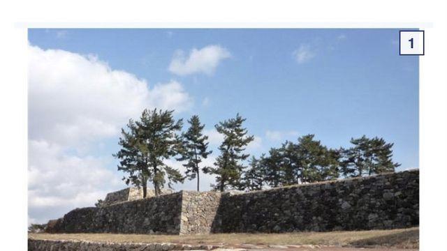 왜성을 보고 충격과 공포에 빠진 조선군.jpg