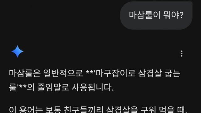 념글보고 제미니 진짠가해서 써봤는데