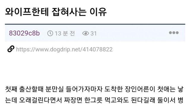 와이프한테 잡혀사는 이유 