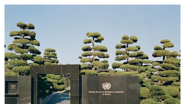 흔적과 여로, 유엔공원 26 pics