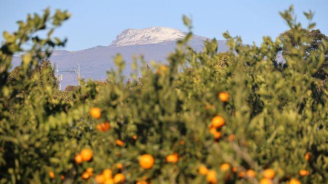 제주 낮 최고 17∼19도…