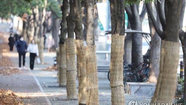 부산·울산·경남 오후부터 구름 많고 낮 최고 16도