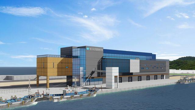 영덕 강구수협 위판시설 현대화…184억 투입