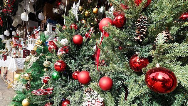 대전·세종·충남 낮 최고 14∼15도…늦은 오후 빗방울