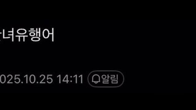 ㅈ같은 한녀 유행어