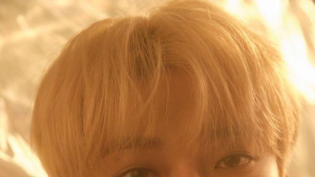 NCT 도영, 싱글 신곡 ‘늦은 말’ 9일 공개