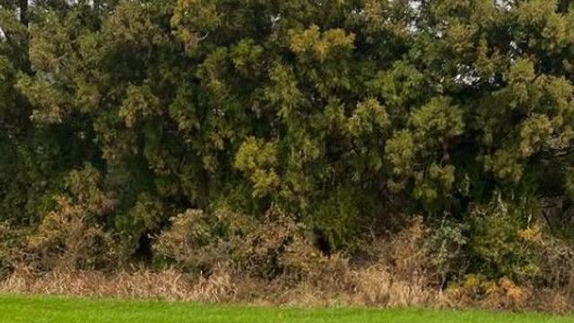 '강철부대W' 곽선희, 동성 연인과 웨딩 화보…