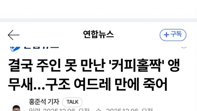 커피 훔쳐 마신 앵무새, 보호시설서 숨져