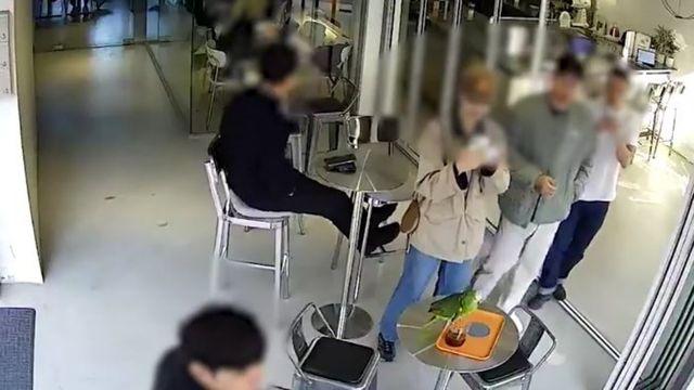 '영등포서 손님 커피 홀짝' 멸종위기종, 구조 8일 만에 돌연사해…무슨 일