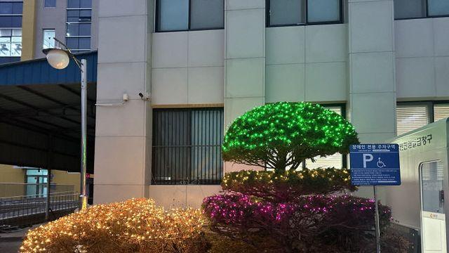 강화군 하점면, 반짝이는 경관조명으로 연말연시 맞이