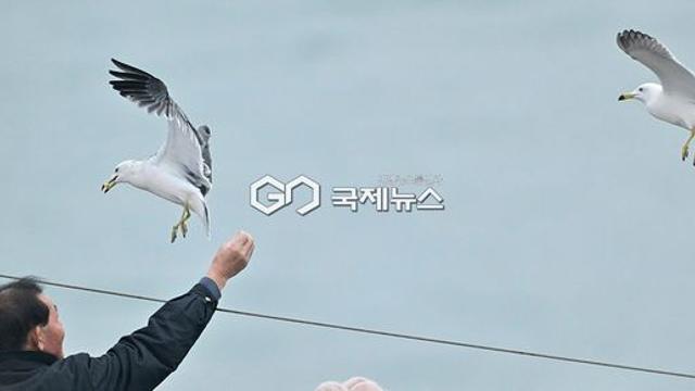 내일 주말날씨 서울12도·제주19도 