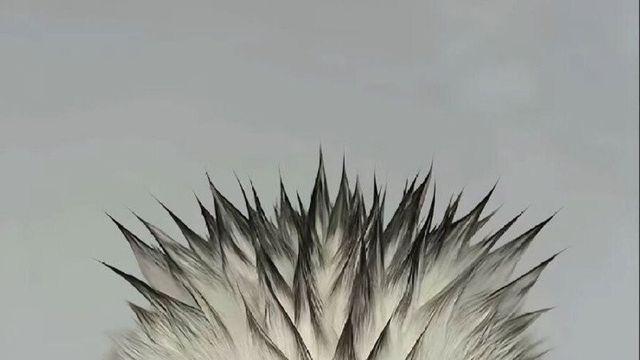 학교 다닐 때 겁나 독한 선생님 머리