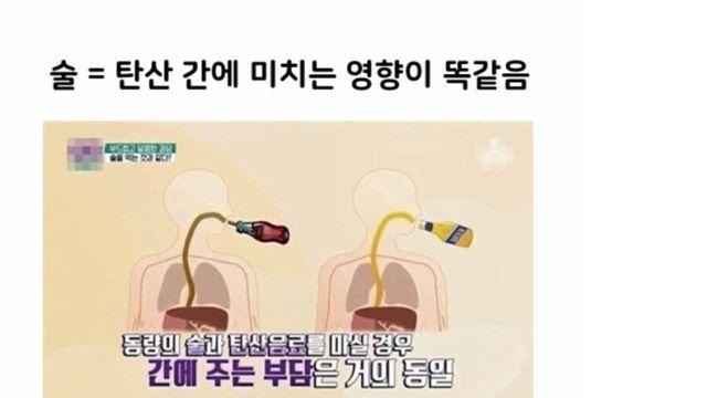 믿기지 않지만 현실로 밝혀진것