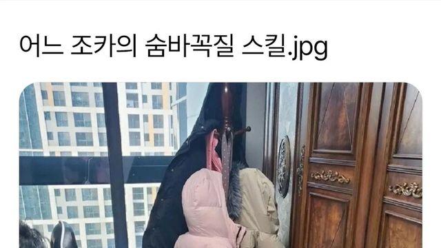 조카의 숨바꼭질 스킬이 훌륭하다