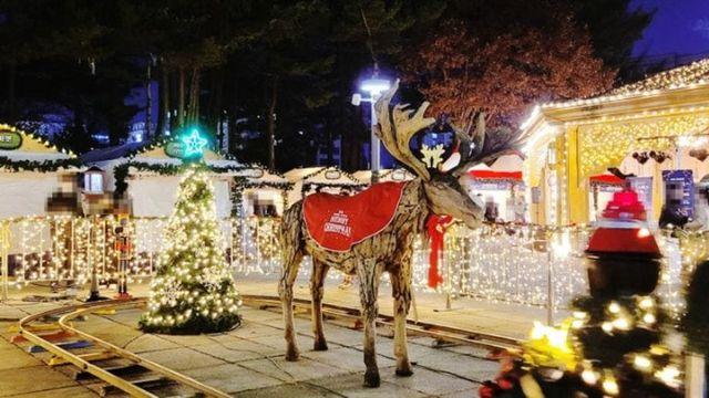 '불꽃놀이 시간 있을까'...유성온천 크리스마스 축제 '현장' 꿀팁