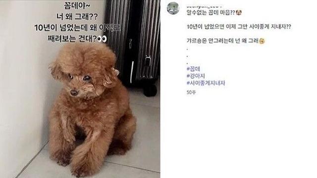 샤이니 키, 박나래 주사이모 연관있나 