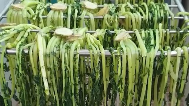 무 줄기를 냉동 시키지 말고, 이렇게 보관하면 1년 내내 파랗습니다