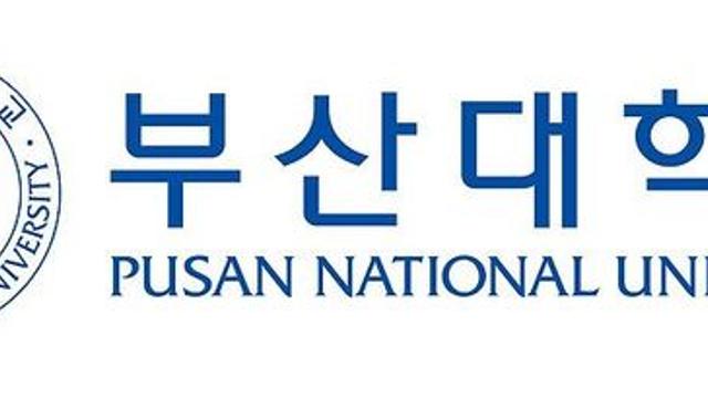 2025년도 기준 부산 4대 대학 순위 