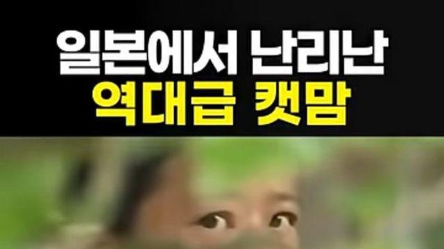 일본에서 난리난 50대 캣맘