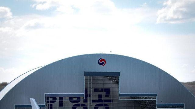 프랑스 디자이너가 디자인한 대한한공 도색