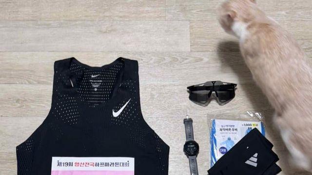 시즌마감 양산하프마라톤 10k PB! 조금 긴 후기