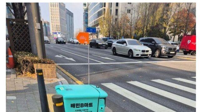 최근 서울에 나타난 외래종