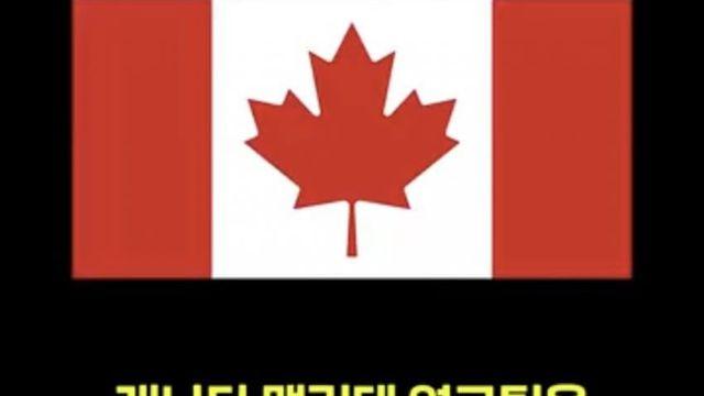 마침내 도움이된다는 모기.jpg