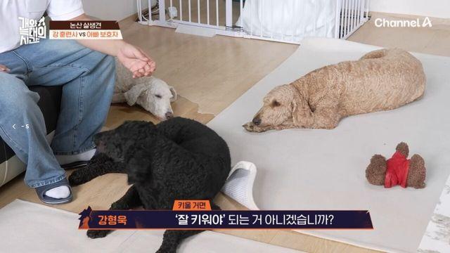 집에 개 유골함 4개를 본 강형욱 