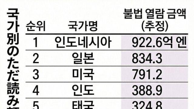 일본에서 조사한 일본만화 불법열람 국가 순위