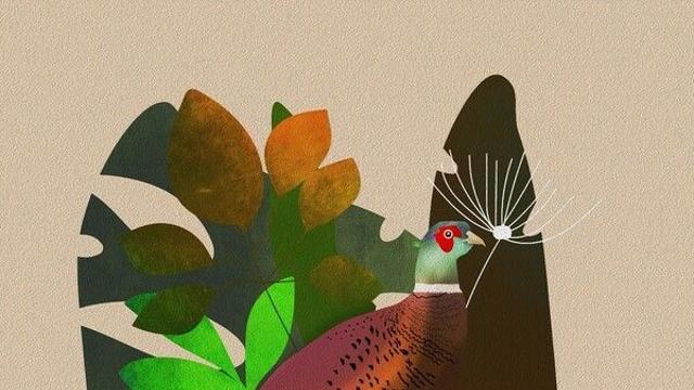 [K스토리 뿌리를 찾아서] 꿩이 남긴 말의 상처, 까치가 얻은 예절의 힘