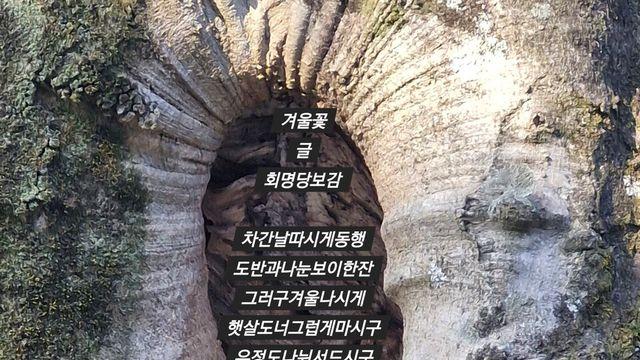 [보감과의 동행171]  冬華