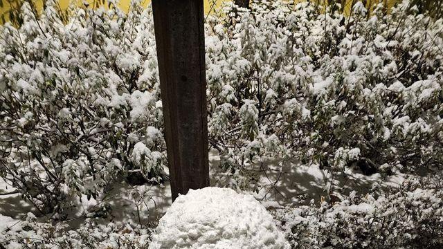 안아줘요가 만든 개쩌는 !!! 눈사람