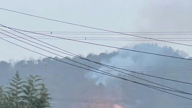 부여 임천면서 산불...진화차 28대 투입 '1시간 만에 진화'