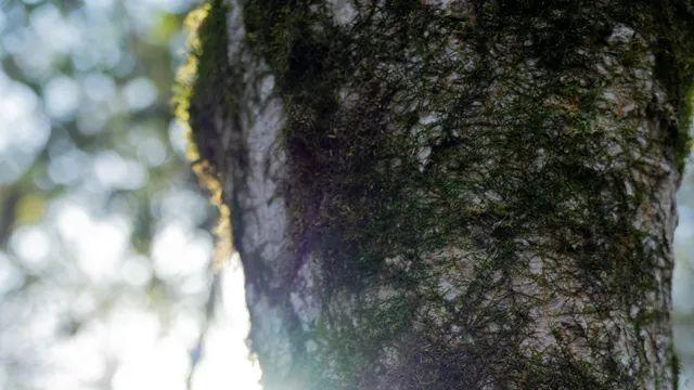 새벽에도 사진 봐주나요?