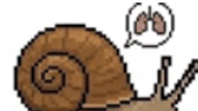 복족류의 진화과정 s2-5 바다 속의 복족류들(갯민숭달팽이등)