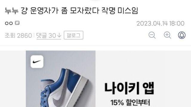 누누티비는 작명 미스라는 디시인 