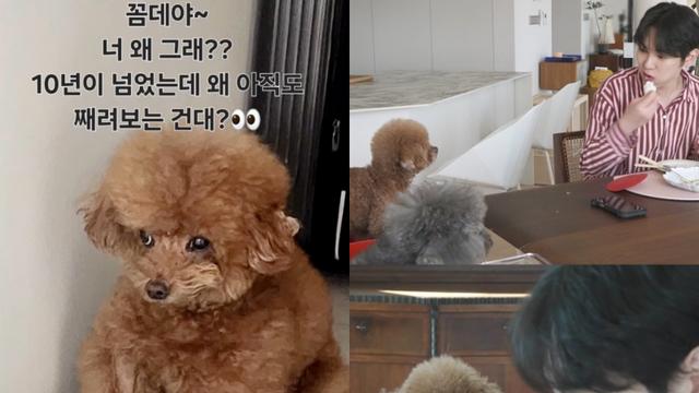 박나래, ‘주사이모’ 사태 번졌다…샤이니 키와 연결고리 포착 [SD이슈]