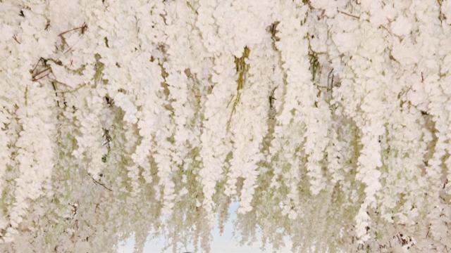 온주완♥방민아, 발리 결혼식 깜짝 공개... 