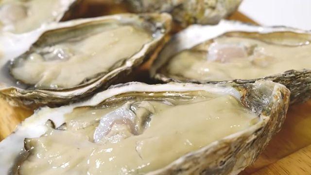 미쳤다, 개당 무려 10000원이라는 '명품 굴'…이런 맛이 나네요