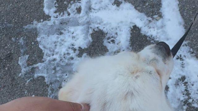 돌풍20 선자령 다녀왓어양