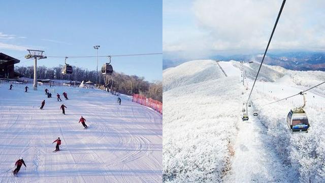 [위키뉴스] 첫 눈 내렸다 이제 스키 타러 가야지? 안 가면 후회할 ‘하이원리조트’