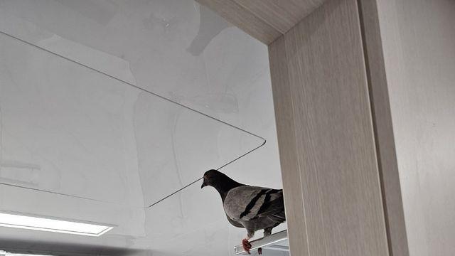 요즘 새 아파트 근황 ㄷㄷㄷ 