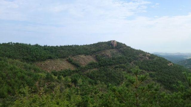 산림청, '녹색 방패' 내화수림 산불 확산과 피해 줄인다
