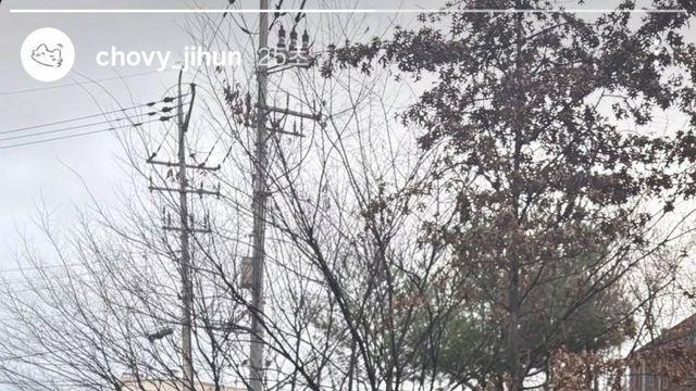 쵸비 근황 떴다..jpg